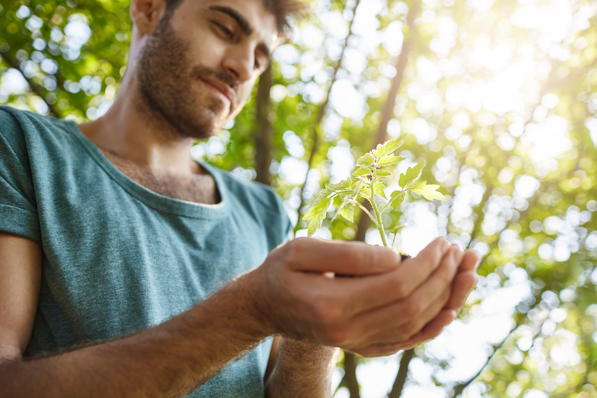 selective-focus-close-up-portrait-young-dark-skinned-male-with-beard-blue-shirt-holding-little-plant-hands-man-working-garden-sunny-day-feeling-relaxed-happy